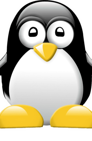 TuxTyping